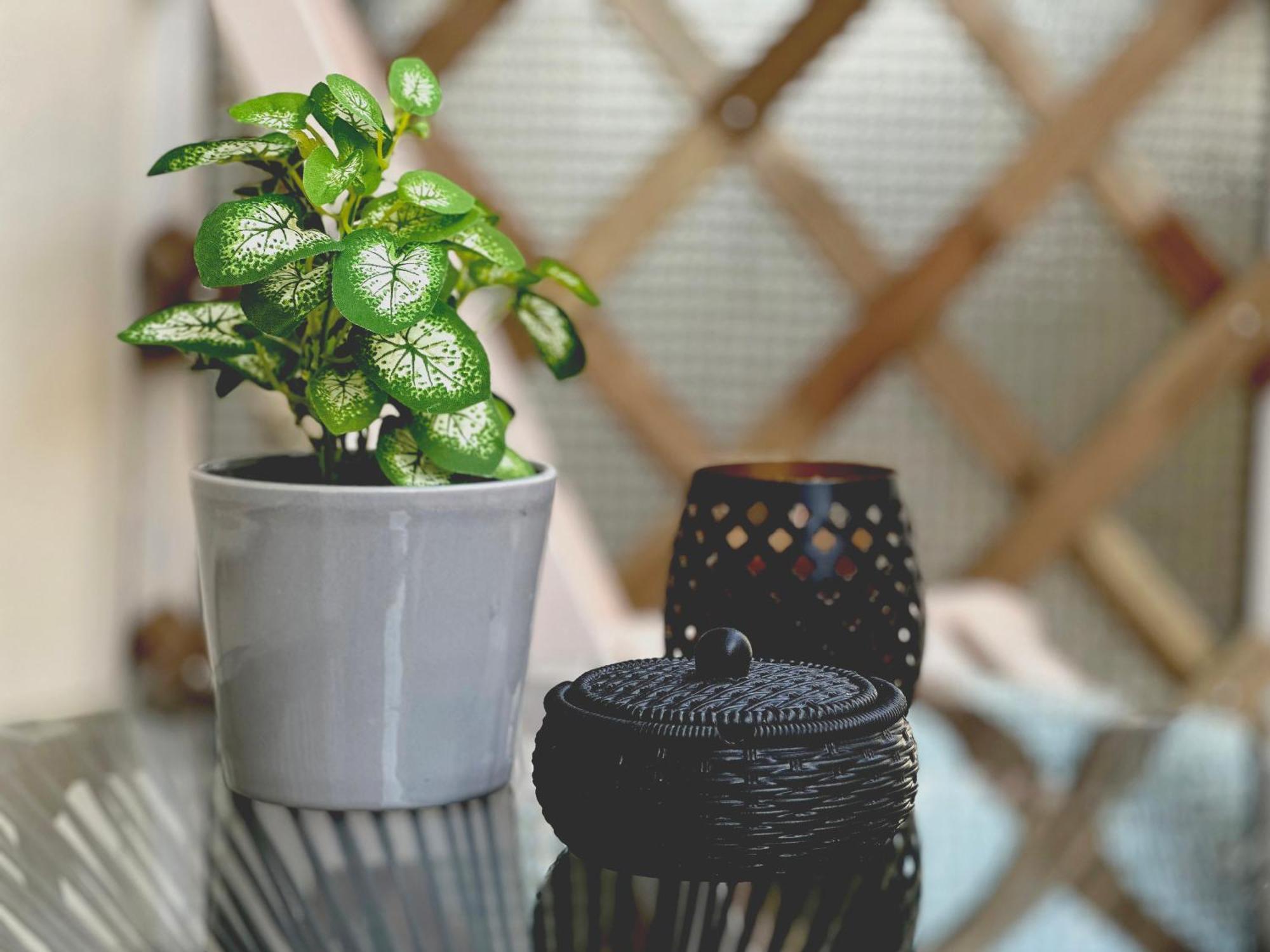 Comfy Den By Cozy Stories Apartment Alexandroúpolis Luaran gambar